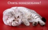 Понедельник – день тяжелый. Понедельник – день тяжелый.